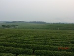 39070CIMG4424.JPG
