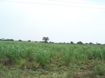 485202052008(47).JPG