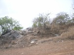4036RIMG0340.JPG