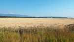 2018-09-06_21-47-52_DSCF5089.JPG