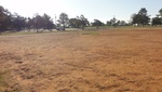 2012-10-16_17-57-35_DSC02971.JPG