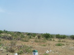486902052008(63).JPG