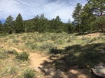 2017-07-05_21-10-42_C4E974F9-B83B-4045-B6D5-0E3B6D423680.jpg