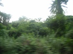 4079RIMG0384.JPG