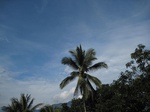 16323IMG_5099.JPG