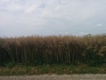 2016-07-27_09-57-04_IMG_20160727_110654.jpg