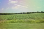 2022-06-12_15-42-58_3354CCEB-6A87-43BE-851E-0B4D04262B24.jpeg