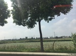 2017-09-12_13-29-31_79EC67AD-9DB3-4F37-924E-DF5F4F6DBD33.jpg