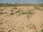 2017-02-02_10-25-21_DSCN0313.JPG