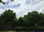 2017-09-02_05-53-04_87B0B228-BCAA-4109-B8CF-991F679CFCFD.jpg
