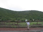 7918gt114a_scrubs_hills_shrubs.jpg