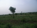 4067RIMG0372.JPG