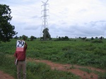 1178829-cropland-rainfed-abandoned-1yr-fallowb.jpg