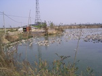 2778 001.jpg
