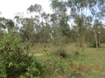 2012-09-26_20-50-07_CIMG1046.JPG