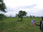 826328-cropland-rainfed-1yr-fallowb.jpg