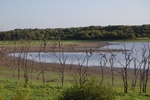 2012-10-19_23-47-01_TX-CLL-20-2.JPG