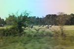 2018-04-30_11-25-02_2017-09-15 16.29.46.jpg