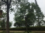 2017-09-11_22-17-28_A45AEA59-5846-483D-98ED-B5E3A792E5E2.jpg
