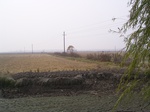 2989 093.jpg