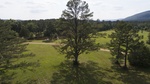 2017-06-12_13-57-39_DJI_0089.jpg