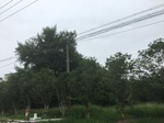 2017-09-10_20-39-05_6EF6FD41-A0C3-4366-94AB-DD63DD3F2E9B.jpg