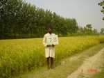 11247gt073-cropland-2.jpg