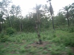 4077RIMG0382.JPG