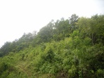 2012-09-08_18-23-44_RIMG0010.JPG