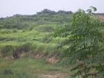 802R0015372.jpg