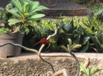 14963IMG_5357.JPG