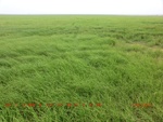 38906CIMG4784.gps.jpg