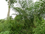 18188P1000023.JPG