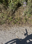 2020-10-04_12-59-39_1BBD1A97-553A-4E68-A757-AB349300F727.jpg