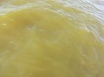 2012-09-21_14-26-38_CIMG0038.JPG