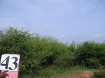 830343-scrubland-b.jpg