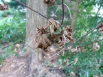 2012-09-15_11-48-06_NJ-SS-7-1.JPG