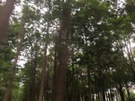 2017-09-10_06-51-04_38EF25D9-D391-404B-8334-B4CE939859D4.jpg