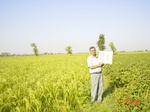 6482gt021-cropland-2.jpg