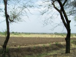 487802052008(71).JPG