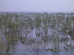 629R0015137.jpg