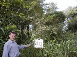 12315GT214_coppice.JPG