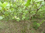 18535P1000371.JPG