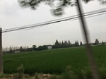 2017-09-11_23-00-08_D5650141-232B-4195-AE29-852D13A93C20.jpg