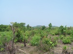 1725520042008(40).JPG