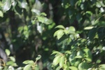 2025-07-15_15-21-38_2A1554E0-6FCC-44E8-8148-91A90AE0CC2D.jpeg