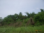 3724RIMG0027.JPG