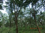 2012-09-26_20-48-44_CIMG1119.JPG