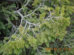 2012-09-27_14-25-53_272.JPG