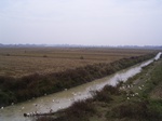 3265R0017299.JPG